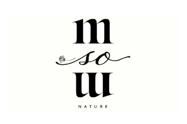 logo adhoc_Adhoc logo 11 logo adhoc_Adhoc logo 11